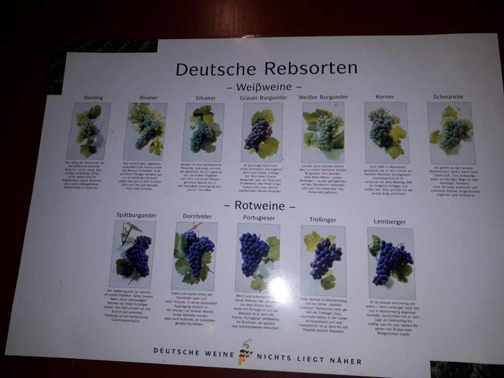 2025 10 21 Wimar 010