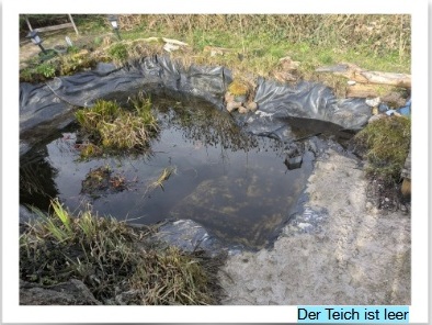 Teich Bild: 0189