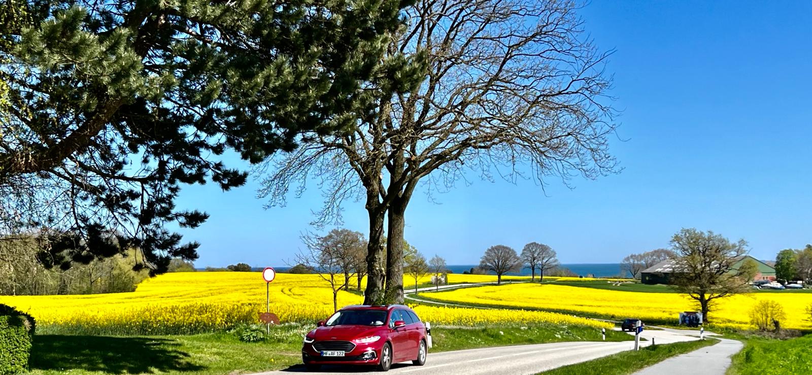 Neustadt in Holstein