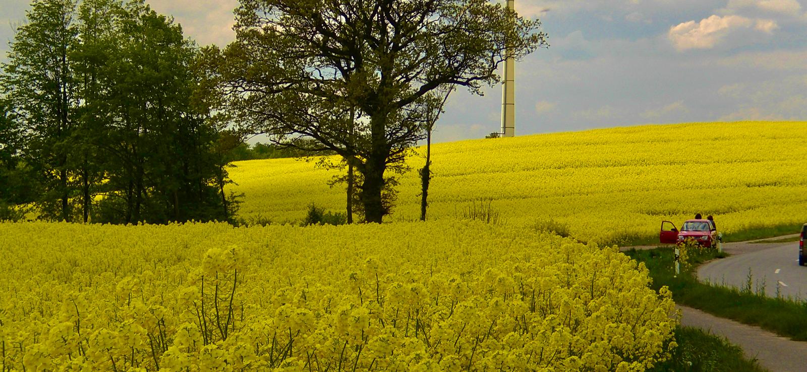 Neustadt in Holstein