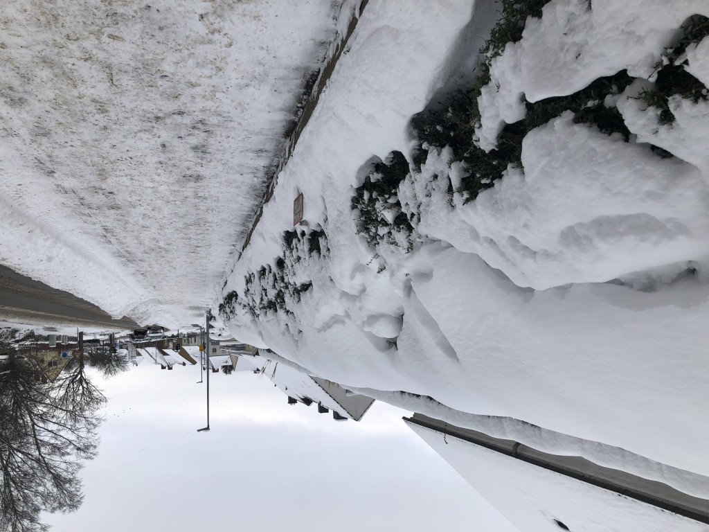 Neustadt in Holstein